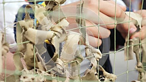 Camouflaged Military Screening Netting at Army Camp