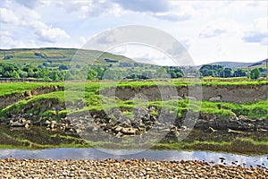 Camouflaged sheep hiding from the sunshine and tourists, in Hawes, in the Yorkshire Dales.,