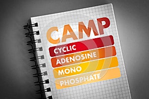 CAMP acronym, medical concept background