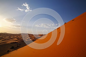 Camp of Camel caravan going through the sand dunes in the Sahara