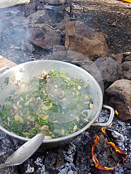Camp cooking in the field on open fire - a big pan with vegtables and edible wild plants