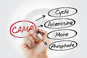 CAMP - Cyclic Adenosine MonoPhosphate