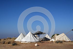 Camp in Dana