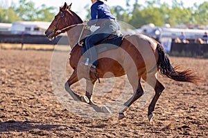 Camp Draft Event , Rounding Up Cattle - Unique To Australia