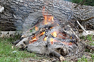 Camp fire