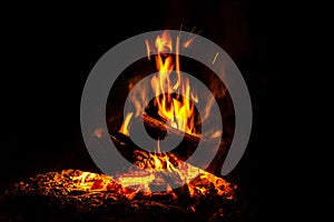 Camp fire in dark background, Fire from Burning wood