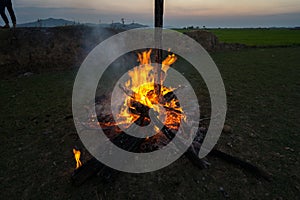 Camp fire from dry tree trunk at sunset.