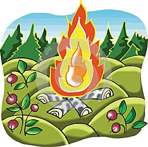 Camp fire in forest