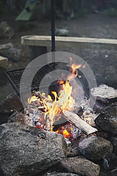 Camp fire in the Forest