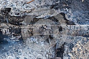 Camp fire during a hiking trip. Burning wood in a campfire. Glowing coals and the texture of burnt wood