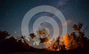 camp fire on night forest glade under starry sky