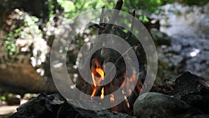 Camp fire | Smoke and Bonfire Starting in Forest
