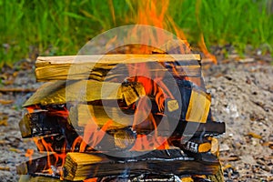 Camp fire in a summer forest