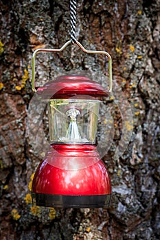 Camp lantern on cortex tree background