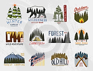Camp logo, mountains coniferous forest and wooden badges. engraved hand drawn in old vintage sketch. emblem tent tourist