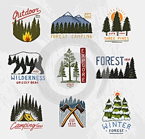 Camp logo, mountains coniferous forest and wooden badges. engraved hand drawn in old vintage sketch. emblem tent tourist