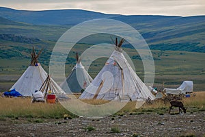 Camp of modern reindeer herders in the tundra