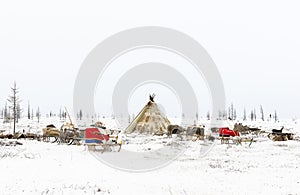 Camp of nomadic tribe in the polar tundra