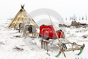 Camp of nomadic tribe in the polar tundra