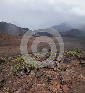 Camp olowalu maui olowalu hekili point Hawaiian Island of Maui, photo