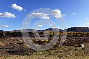 Camp outdoor in inner mongolia