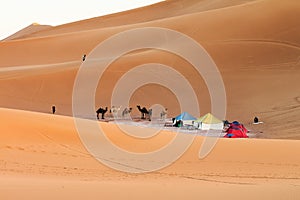 Camp in sahara desert