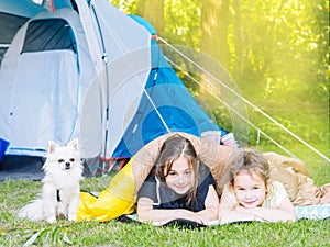 Camp in tent with children - girls sisters with little dog chihuahua sitting together near tent. Travelers sit in summer forest.