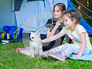 Camp in the tent - girls with little dog chihuahua sitting together near the tent