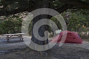 A camp under a tree with a tent and bench.