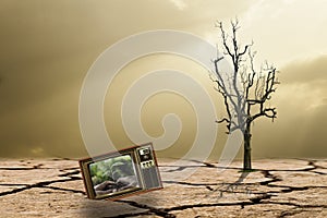 The campaign to reforest To reduce global warming photo