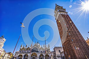 Campanile Bell Tower Sun Seagull Saint Mark's Square Piazza Venice Italy