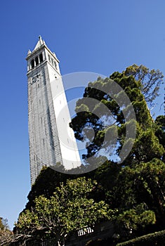 The Campanile at UC Berkeley photo