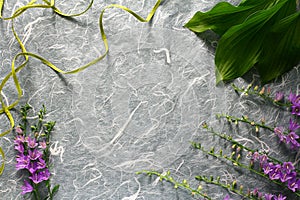 Campanula flowers on a structured background. flat lay