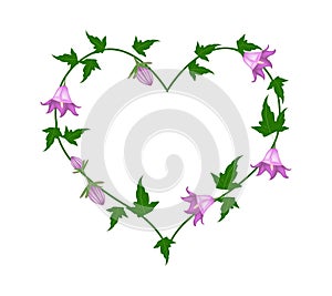 Campanula Rotundifolia Flowers in A Heart Shape photo