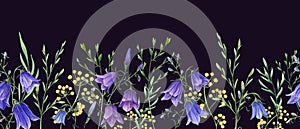 Campanula, wild meadow plants. Blue, yellow flowers. Floral seamless horizontal border. Watercolor ornate isolated on