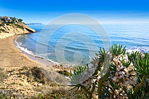 Campello of Alicante Cala Lanuza beach photo