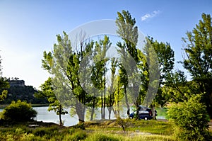 Camper van parked under trees