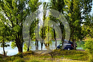 Camper van parked under trees