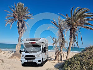 Campers parked on the beach