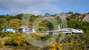 Campers in RV's between common broom bushes and granite cliffs on Bornholm in June