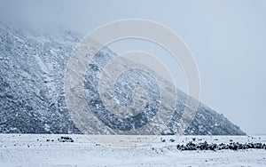 A campervan driving on the road in a snowy day. Mount Cook Village valley