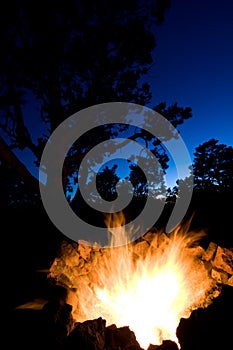 CampFire