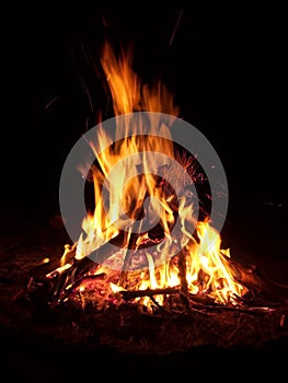 Campfire photo
