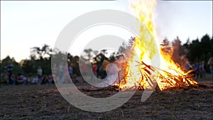 Campfire of the Branches Burn at Night in the Forest on the Background of People