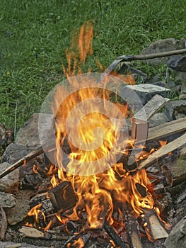 Burning Campfire on the meadow