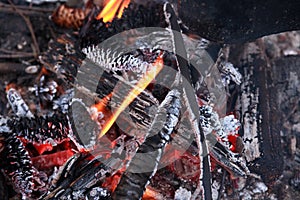 Campfire Closeup Background