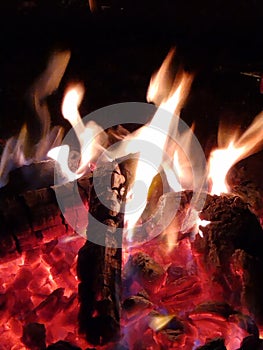 Campfire closeup of flames and red-hot coals