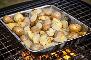 campfire cooking grate holding silver-foiled spuds