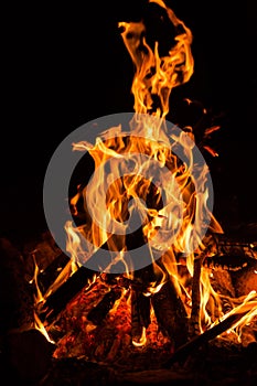 Campfire in the darkness of the night