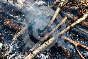 Campfire extinguished by water